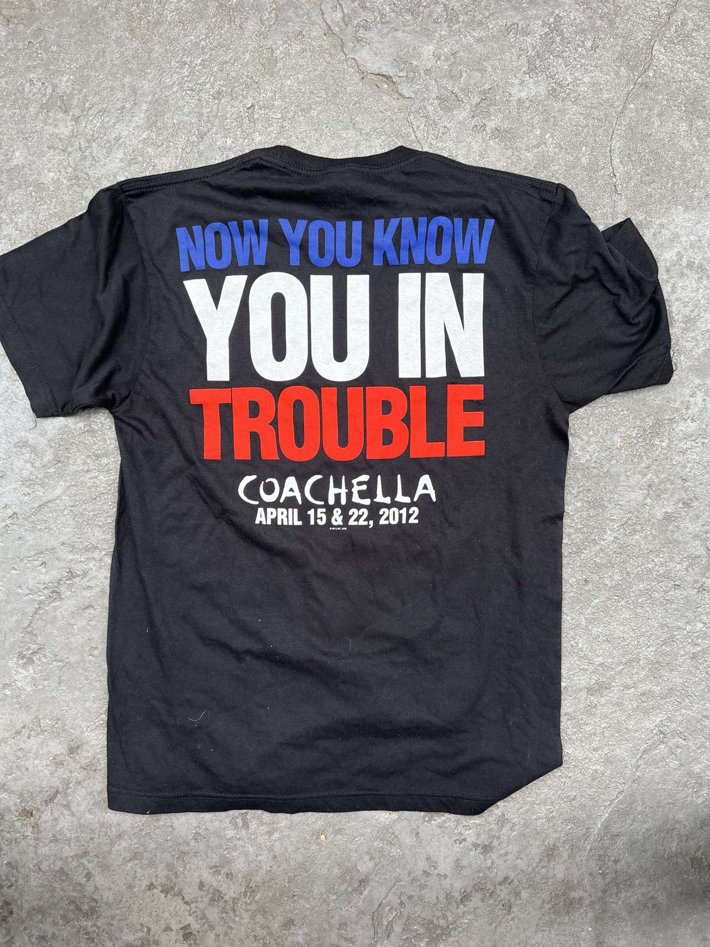 DR.DRE/ SNOOP COACHELLA TEE - 2009